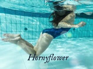 Hornyflower