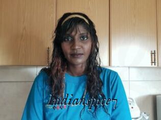 Indianspice7