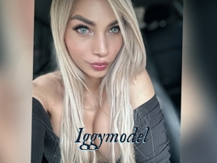 Iggymodel
