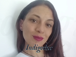 Indigothcc
