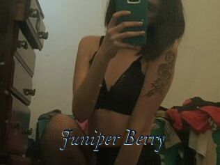 Juniper_Berry
