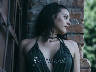 Justmesol