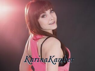 KarinaKamber