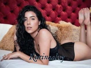 Karinaalvy