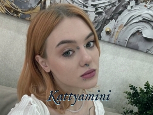 Kattyamini