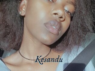 Kesandu