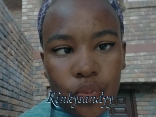 Kinkysandyy
