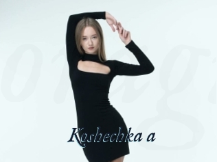 Koshechka_a