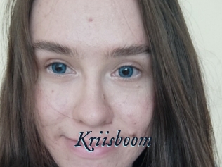 Kriisboom