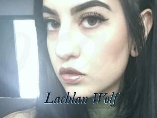 Lachlan_Wolf