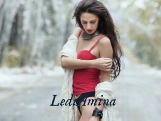 LediAmina