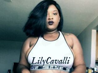 Lily_Cavalli