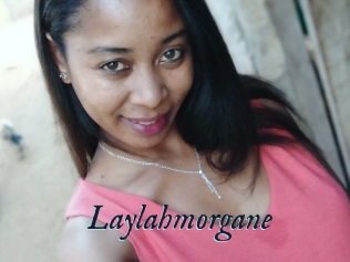 Laylahmorgane