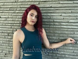 Leahmorgaan
