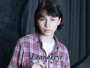 Leanakeys