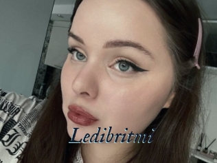 Ledibritmi
