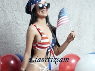 Liaortizcam