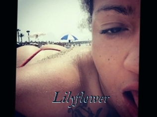 Lilyflower