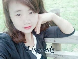 Lingynedg