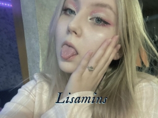 Lisamins