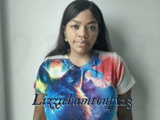 Lizziehamtonp123