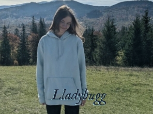 Lladybugg