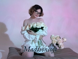 Madisonsoft