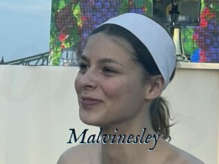 Malvinesley