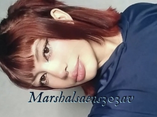 Marshalsaens303av