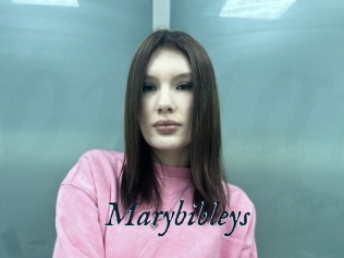 Marybibleys