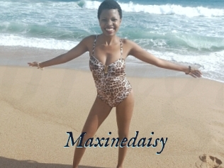 Maxinedaisy