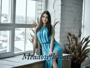 Meadowflowers