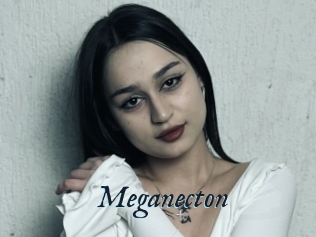 Meganecton