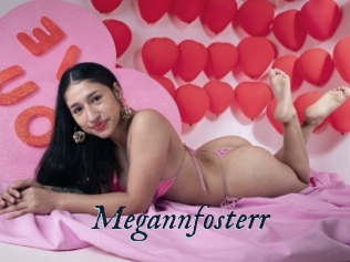 Megannfosterr