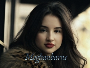Meghanbarns