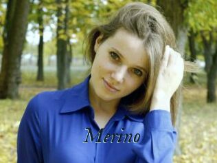 Merino