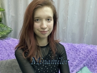 Minamiler
