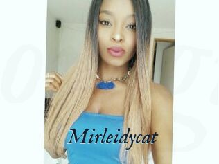 Mirleidycat