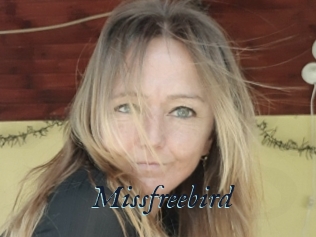 Missfreebird