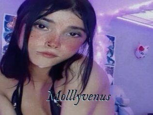 Molllyvenus