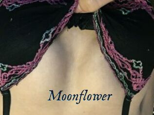 Moonflower