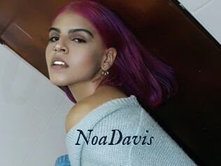 NoaDavis