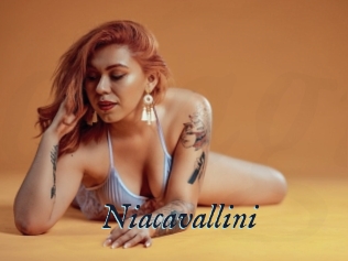 Niacavallini