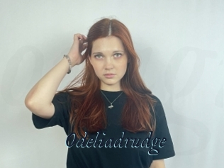Odeliadrudge