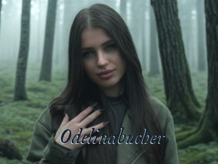Odelinabucher