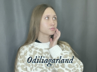 Odiliagarland