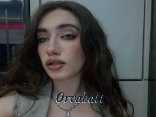Orvahatt