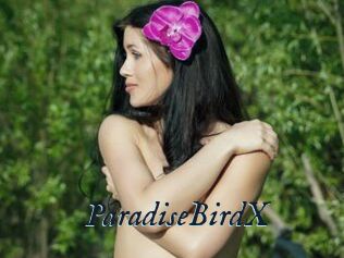 ParadiseBirdX