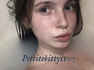 Pettitekitty1107