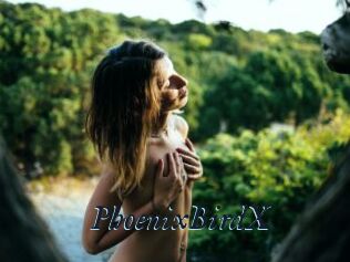 PhoenixBirdX